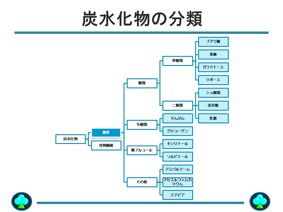 炭水化物の分類